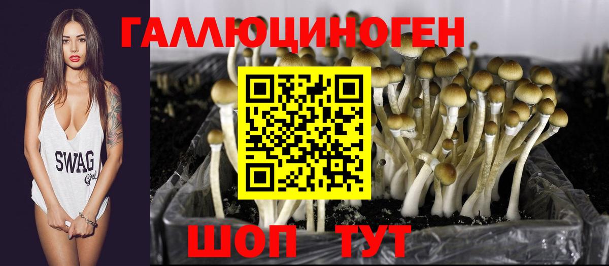 Тихвин  Каннабис  Где продают наркотики?  MDMA  НБОМе  Вход с VPN  Меф МЯУ МЯУ кристаллы  Лсд 25  Cocaine  ГАШ 